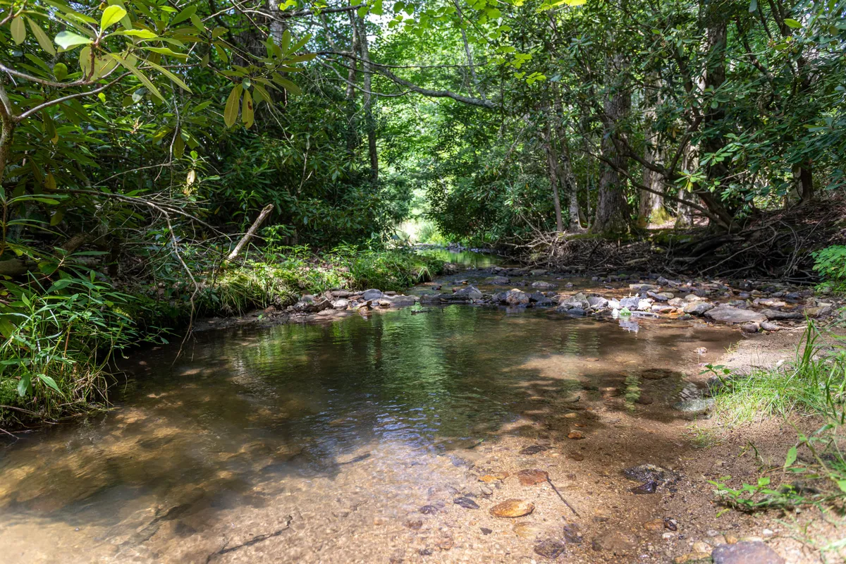 This image captures a tranquil creek bordered by smooth stones and lush greenery. The clear water invites exploration and play, evoking a sense of natural serenity and adventure. The surrounding forest provides a backdrop that hints at private trails and the joy of being immersed in nature.