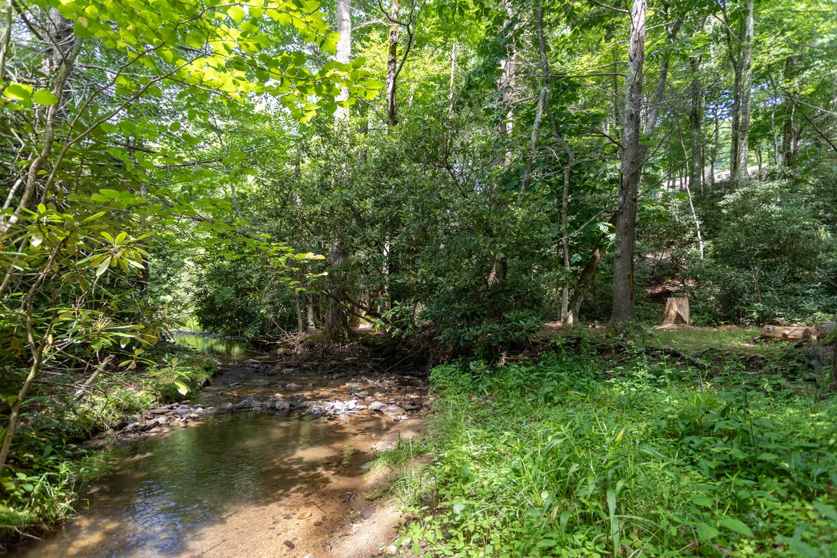 A tranquil stream winds through lush greenery and tall trees, creating a peaceful backdrop for nature walks, wildlife spotting, or family adventures by the water’s edge.