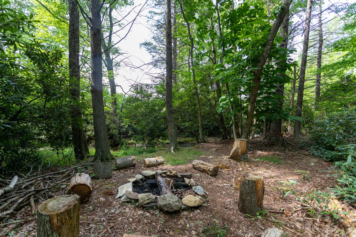A cozy fire pit area with rustic log seating encircled by tall trees. The scene evokes gatherings, storytelling, and unwinding in nature’s tranquility after a day of adventure.