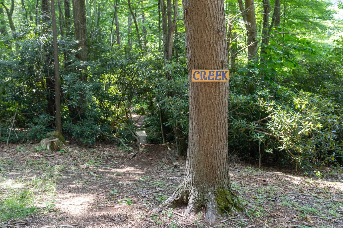 A tranquil forest scene with a large tree marked by a 'CREEK' sign and a pathway leading deeper into the woods, inviting guests to explore the natural surroundings and perhaps discover wildlife along the way.